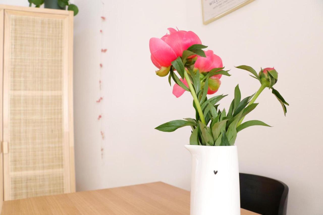 Appartement Cosy 40M2 Centre-Ville Historique Vannes Bagian luar foto